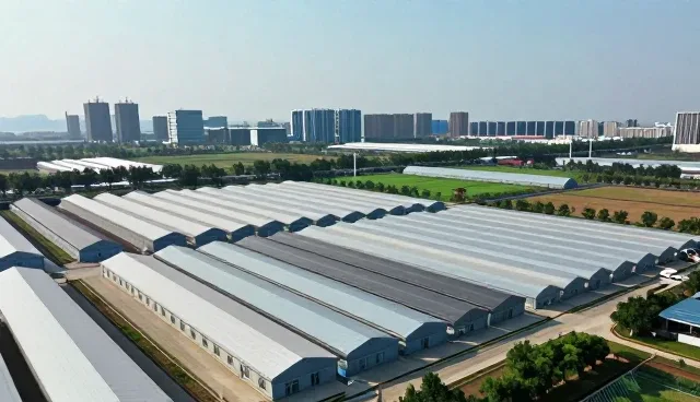 节日礼盒套装在不同环境下的性能表现与保养建议